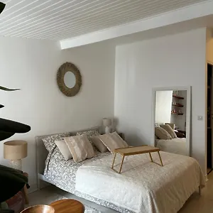 Grand Studio Entierement Renove Au Coeur De Apartment Paris